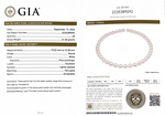 10.0-10.5mm Japanese Akoya White Pearl Necklace - GIA Certified - Secondary Image